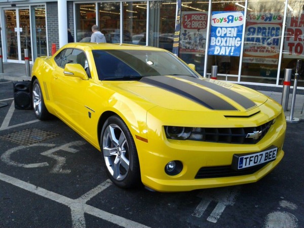 bumblebee1.jpg