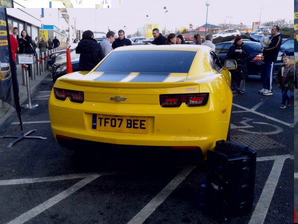 Bumblebee2.jpg