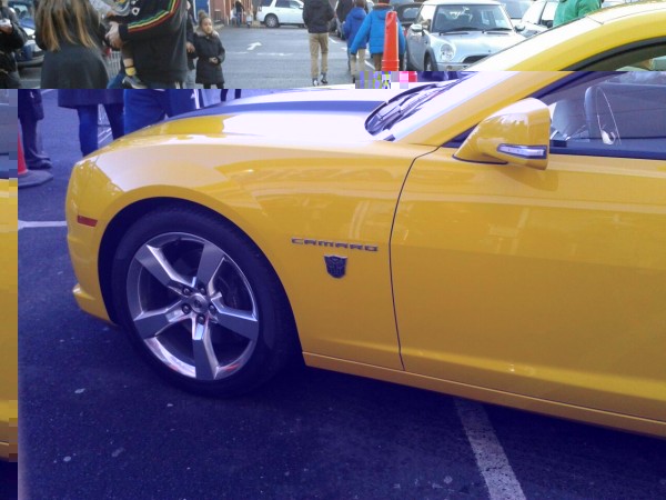 Bumblebee3.jpg