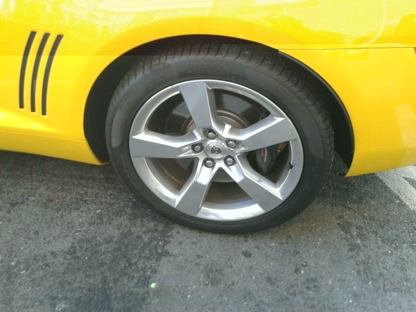 Bumblebee4.jpg