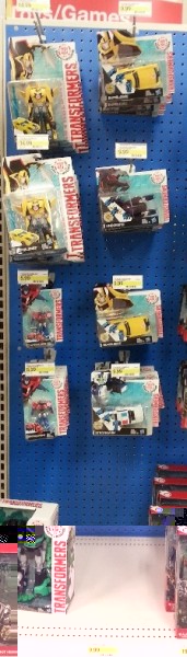 RID Wide Shot.jpg