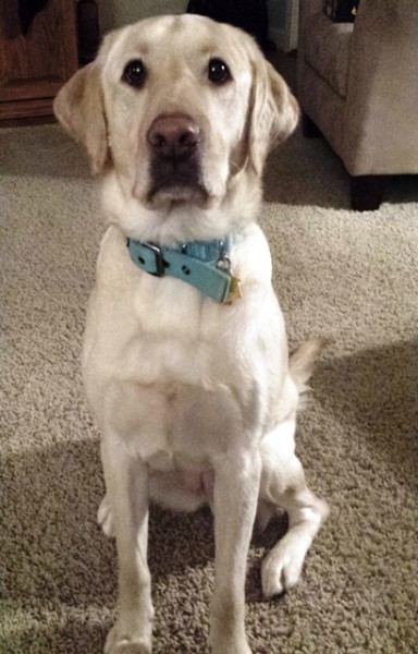 Chloe 12-2014 small.jpg