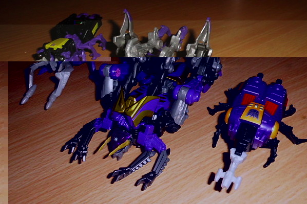 Insecticons 1.JPG