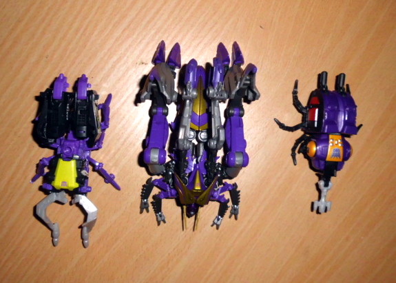 Insecticons 2.JPG