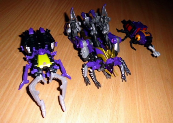 Insecticons 3.JPG