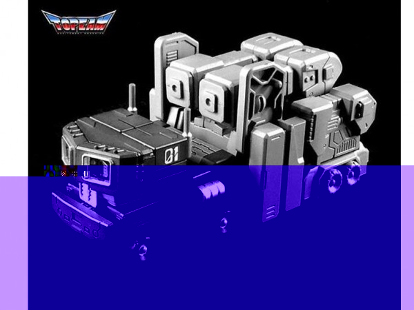 TPM10001 (1).jpg