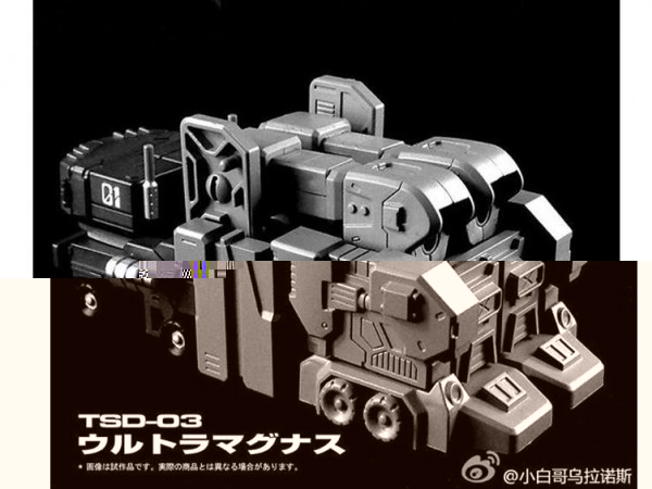 TPM10001 (2).jpg