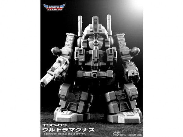 TPM10001 (3).jpg