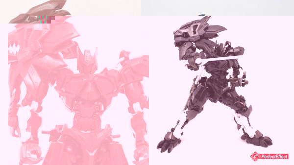 leo01.jpg