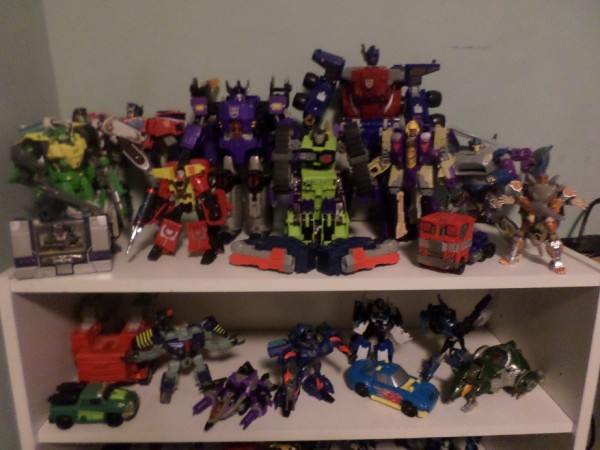 Tf shelf 1.jpg