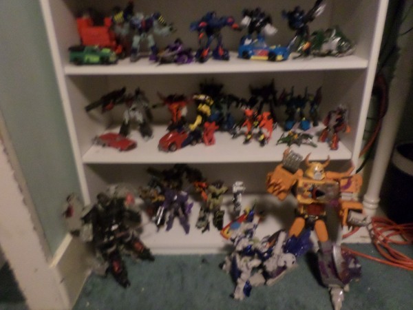 tf shelf 2.jpg