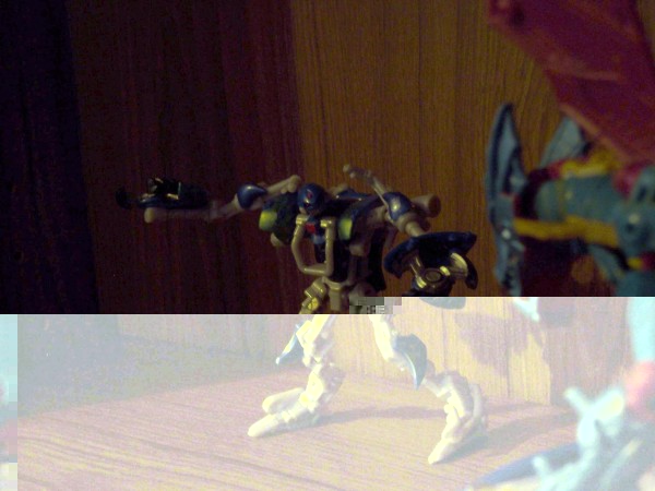 Brimstone 6 - Copy (2).JPG