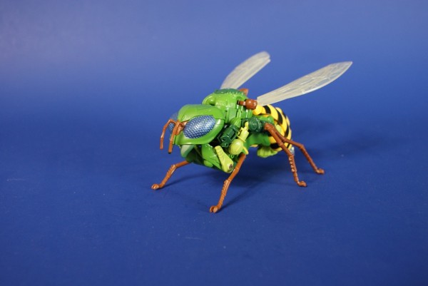 waspinator5.JPG