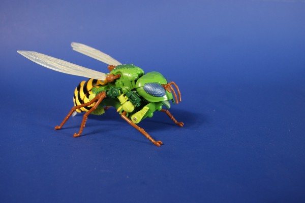 waspinator7.JPG