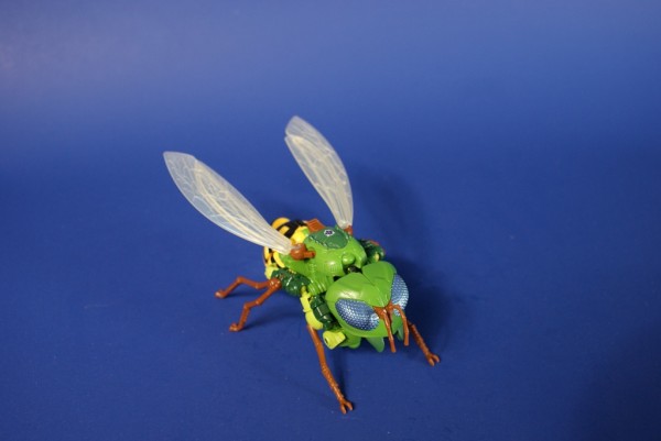 waspinator8.JPG