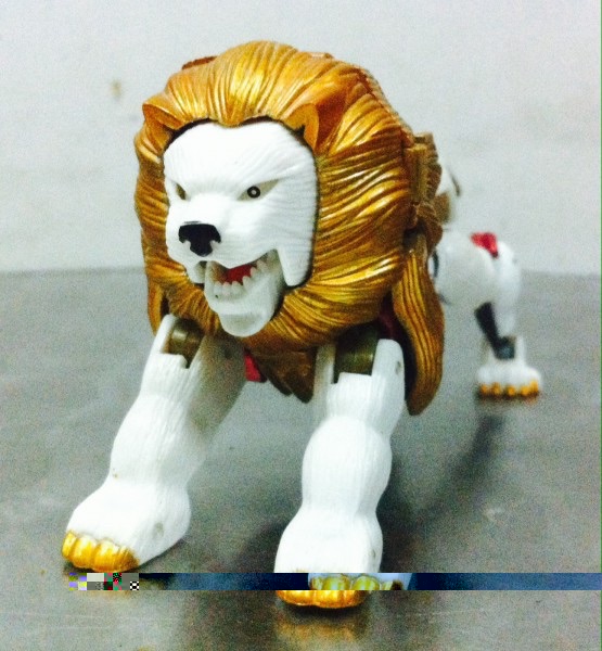 image.jpg