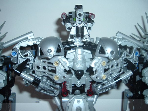 Close up.jpg