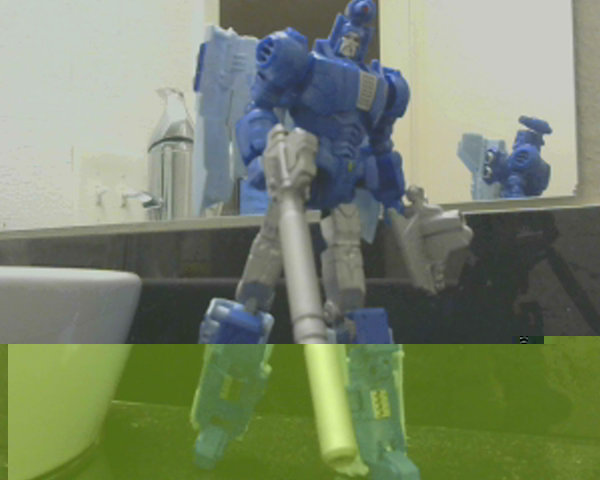 trscourge6.jpg