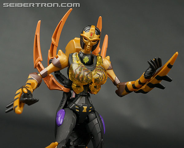 r_lg-17-blackarachnia-094.jpg