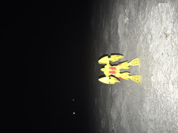 image.jpeg
