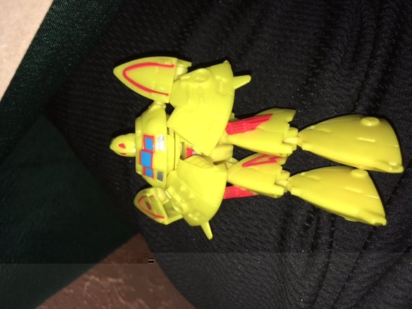 image.jpeg
