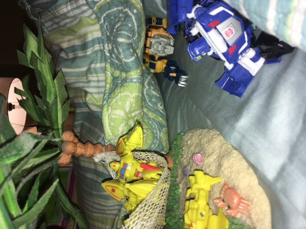 image.jpeg