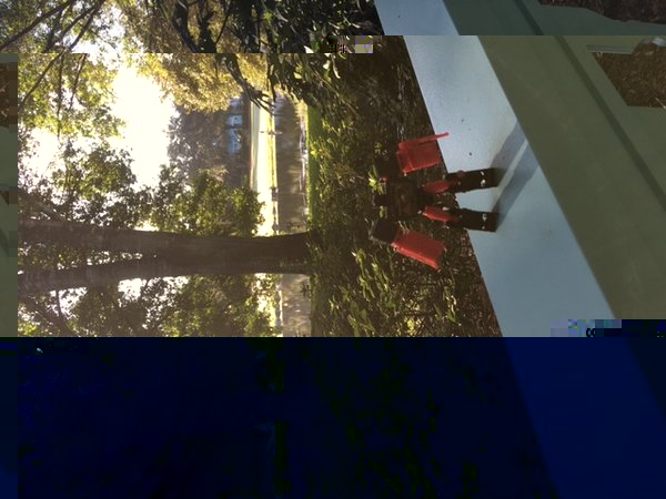 image.jpeg
