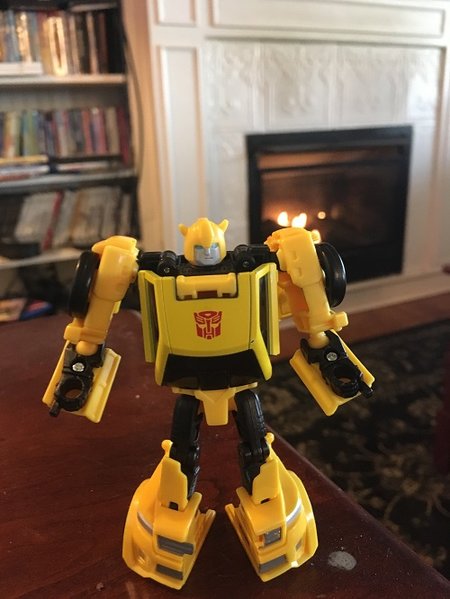 Bumblebee.jpg