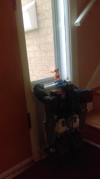 IMAG0421.jpg