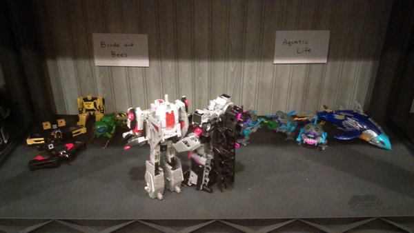 IMAG0498.jpg