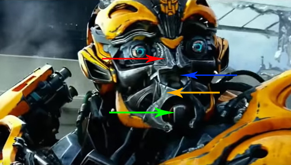 Bumblebee explanation.jpg