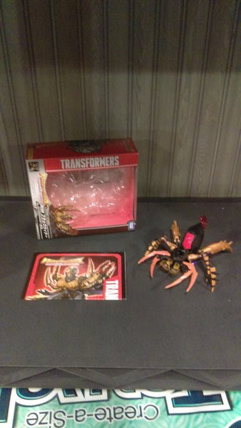 IMAG0557.jpg