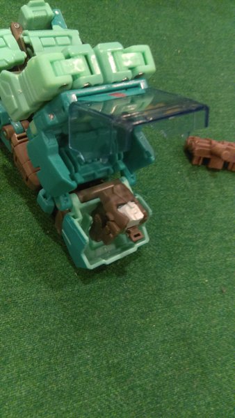 Kup1.jpg