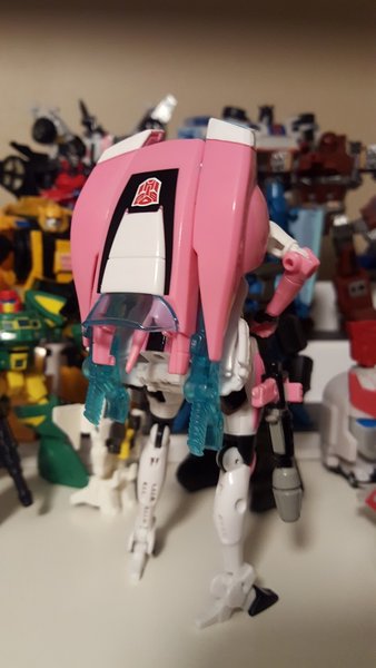 Arcee_backpack_back.jpg