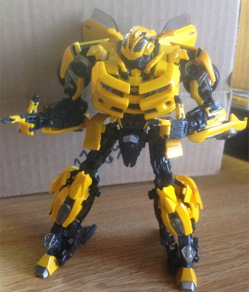 MPM Bee 1.jpg