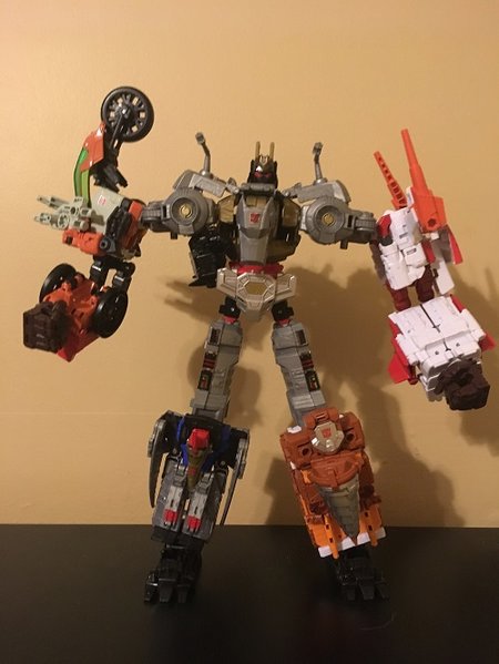 Volcanicus.jpg