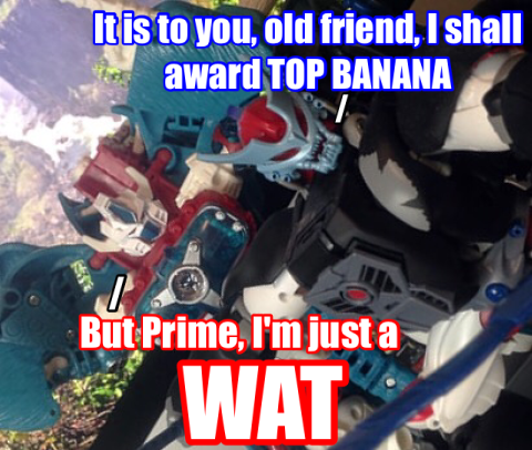 IMG_9921.PNG