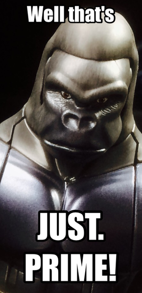 IMG_1542.PNG