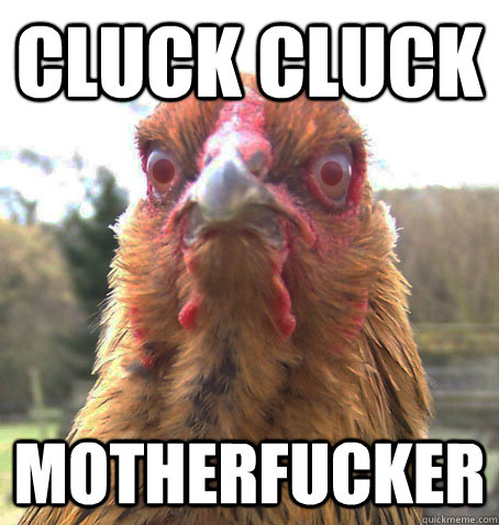 CluckCluckMF.jpg