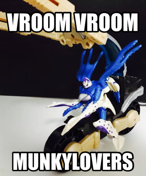IMG_1817.PNG