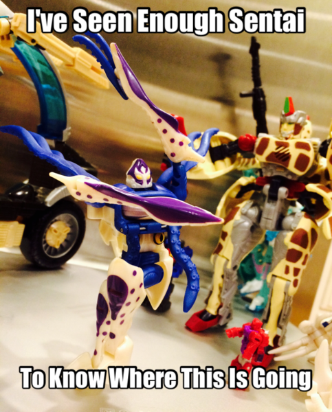 IMG_1935.PNG