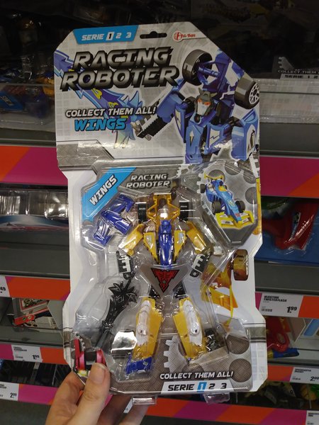 Racing_Roboter2.jpg