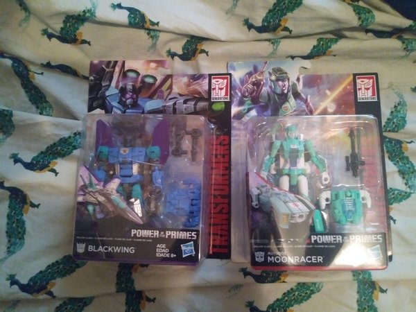 PotPWave2SPHaul.jpg