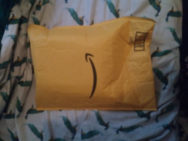 AmazonHaul1.jpg