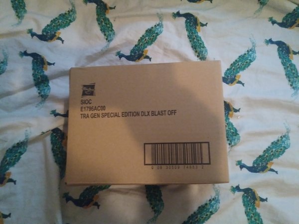AmazonHaul3.jpg