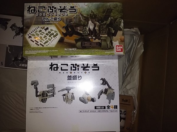 20180914_204814.jpg