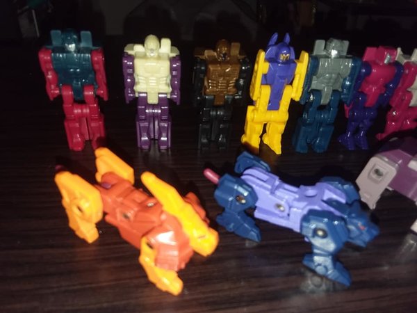 tfh7.jpg