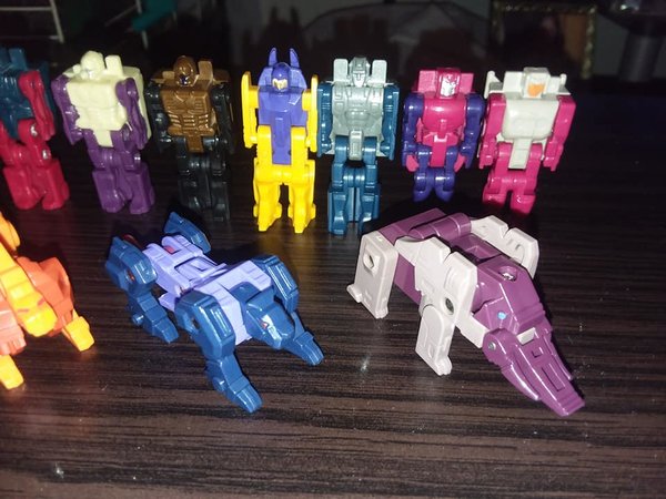 tfh8.jpg