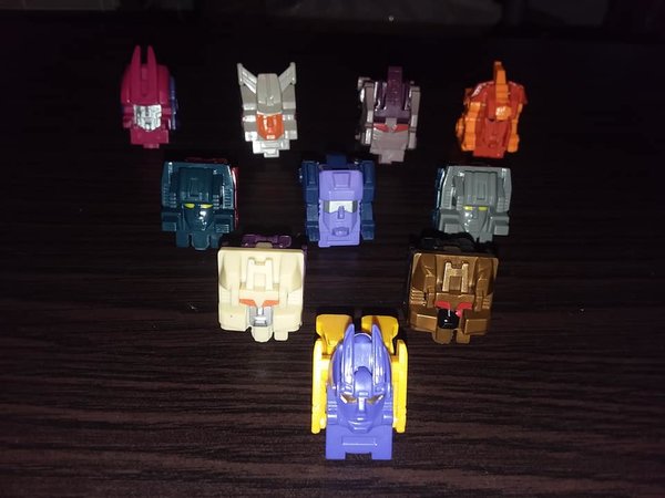 tfh9.jpg