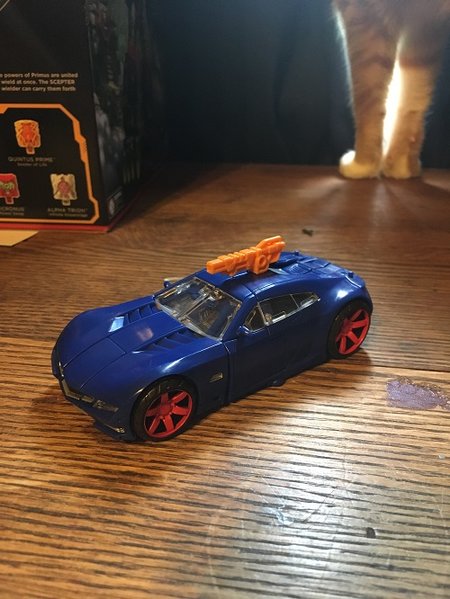 Car mode.jpg